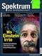 Spektrum der Wissenschaft